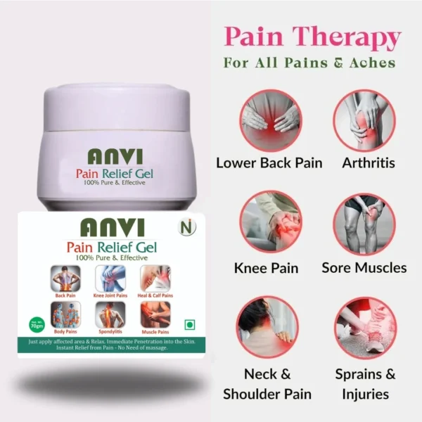 Anvi Ayurvedic Pain Relief Gel For All Pains 70 g - Image 2
